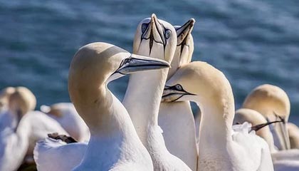 kaiyun官方入口登录-女子足球亚洲杯预选赛，中国队顺利晋级，女足亚洲杯2022