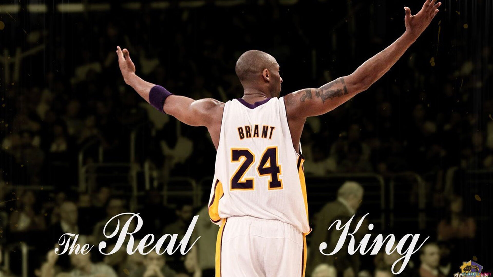 球场瞬间：点燃全场的篮球奇迹，篮球场面